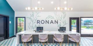 Ronan Gallery 1