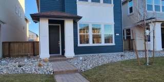 Brand New Home for Lease in Carson City Gallery 1