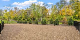 The Aurilla Gallery 59