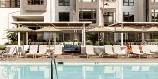 The Hadley Apartments Gallery 49