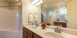 1532 S Andrew Circle Gallery 20