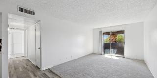 Madera at Metro Gallery 21