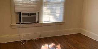 216 Dexter Place Gallery 21