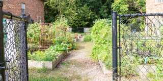 Willow Oaks Gallery 25