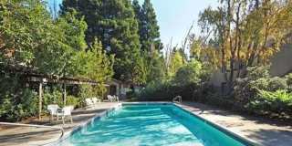 Lovely 1bd. Ground-Level Condo in Cotati Gallery 7