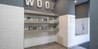McEwen Northside Gallery 15