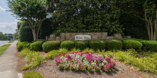 10029 Dauphine Drive Gallery 43