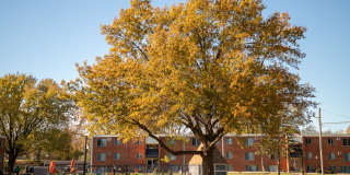 Regency Park Gallery 18
