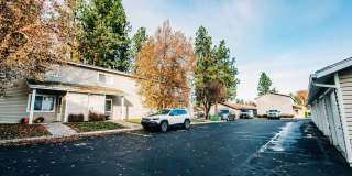 Northwoods Gallery 12