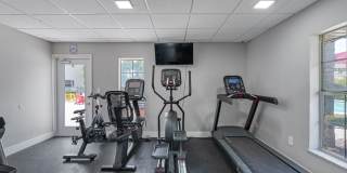 Marbella Park Gallery 15