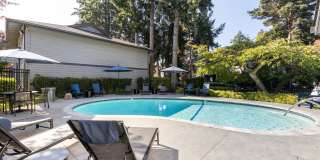 Alder Bellevue Gallery 20