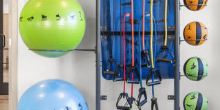 Olympus at Arroyo Verde Gallery 13