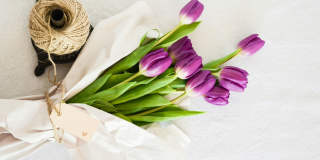 Fox Ridge Apartments Gallery 109