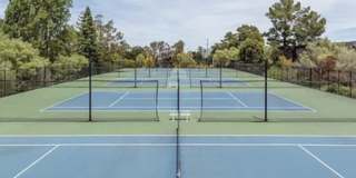 6351 Shelter Creek Lane - 1 Gallery 16