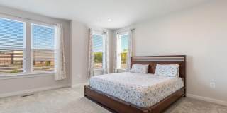 44504 WOLFHOUND Square Gallery 10