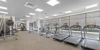 The Quincy Gallery 7