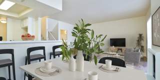 Summit At Warner Center Gallery 59