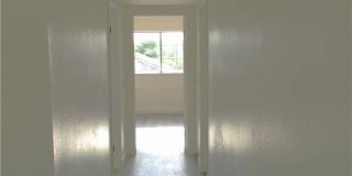 1187 White Tip Lane Gallery 7