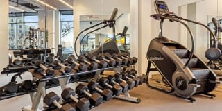 The Asher Gallery 12