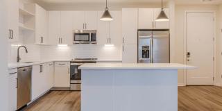 Alexan Harrison Apartments Gallery 115