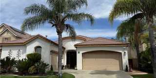 27383 Pumpkin Gallery 1