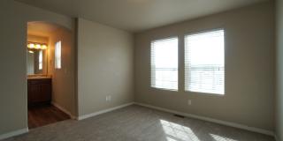 5342 Wild Sage Grove Gallery 14