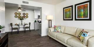 Palm Crest at Station 40 Gallery 7