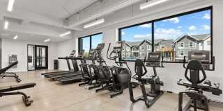 The Meadowlark at Fairview Gallery 24