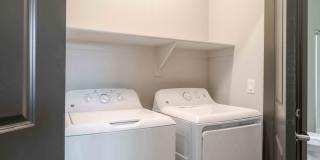 Ironwood at Happy Valley Gallery 47