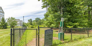 Prynne Hills Gallery 19