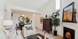 Chestnut Creek Gallery 5