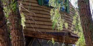 20269 Croydon Ln Gallery 20