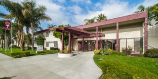 Las Palmas Apartments Gallery 6