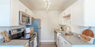 Rise at the Palms Gallery 17