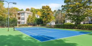 Lake St. James Gallery 7