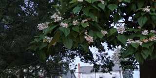 5433 Brightwood Road Gallery 4