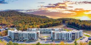 Ellison at the Preserve Gallery 43