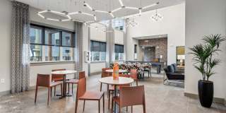 Virginia I Gallery 11