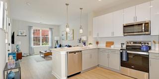 175 Avenue F Gallery 1