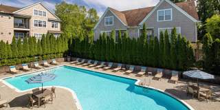 Everly Darien Gallery 12