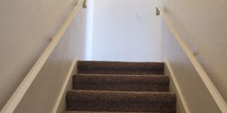 No HOA! North Phoenix 3 Bedroom Home with Large Yard & Garage Gallery 25