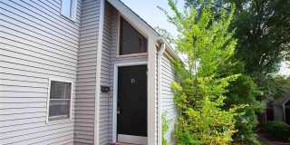 Kavanaugh Oak Gallery 1