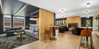 Ellis at Bel-Red Gallery 24