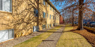 701 (384) Gallery 25