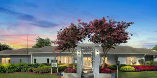 The Atlantic North Springs Gallery 1