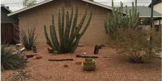 1434 E Del Rio Drive Gallery 1