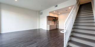 Essence Essence Gallery 49