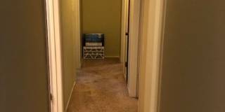 8026 Vita Gallery 11