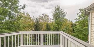 42385 TRELLIS Square Gallery 20