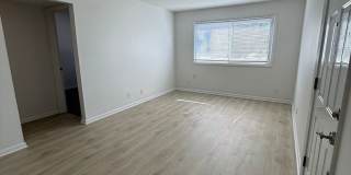 Andrew Gallery 8